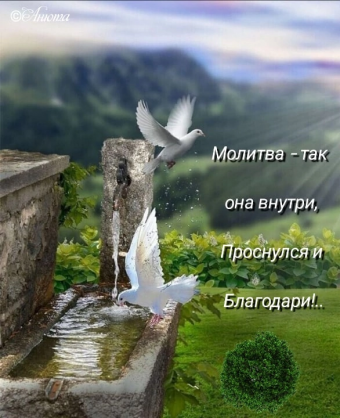 Тысячи открыток и поздравлений. 26 часть.