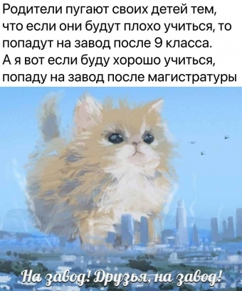 Мэмы. 2 часть