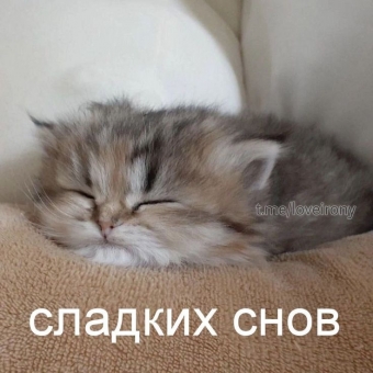 Открытки на тему спать/спокойной ночи 