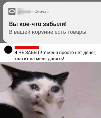 Хорошее настроение - это мемы 