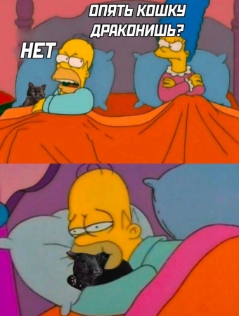 Шуточки и мемы для вас. 8 часть 