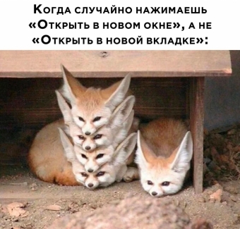 Шуточки и мемы для вас. 5 часть