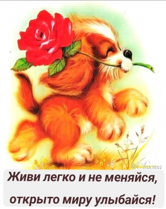 Тысячи открыток и поздравлений. 28 часть.