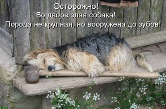 Разные мемы. 4 часть. 