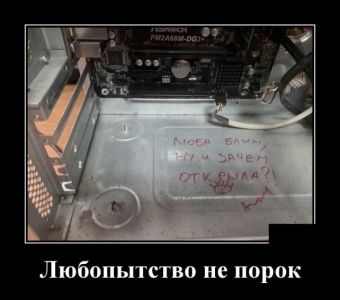 Демотиваторы, которые сделали мой день
