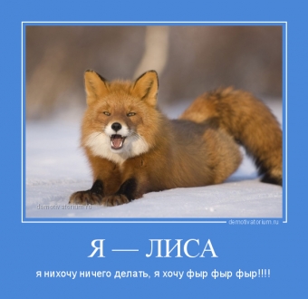 Демотиватор о лисьих проделок
