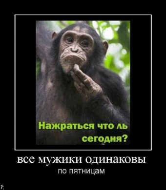 Демотиваторы наступила пятница, а значит выходные!