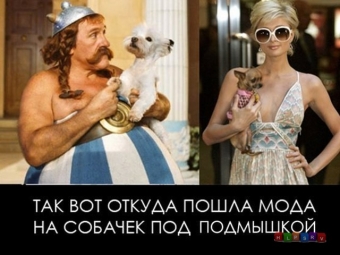 Демотиваторы о прикольной моде