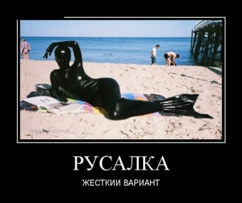Демотиваторы, которые сделали мой день