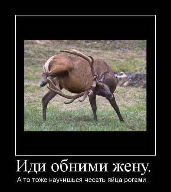 Юмор про жену до слёз! Вы будете валяться от смеха!