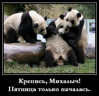 Демотиваторы наступила пятница, а значит выходные!