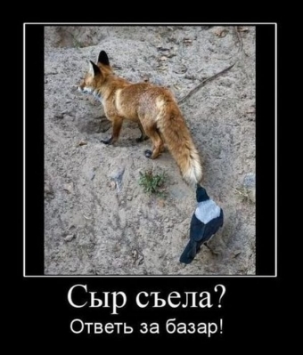Демотиватор о лисьих проделок