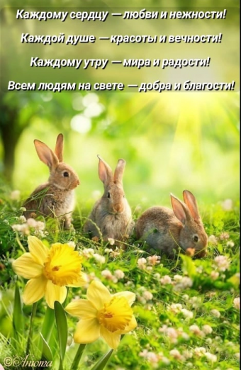 Тысячи открыток и поздравлений. 26 часть.