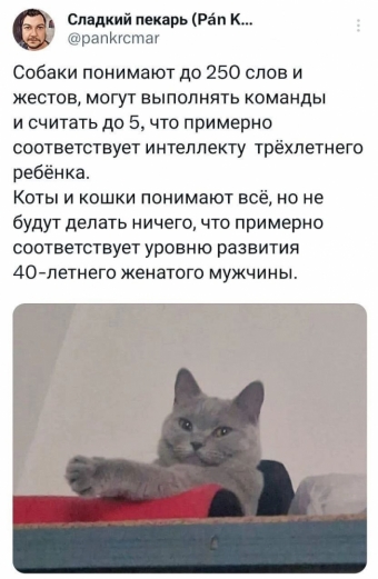 Шуточки и мемы для вас. 4 часть
