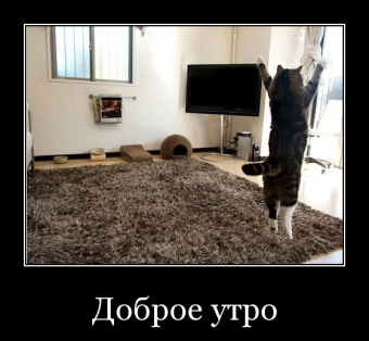Демотиваторы про доброе утро