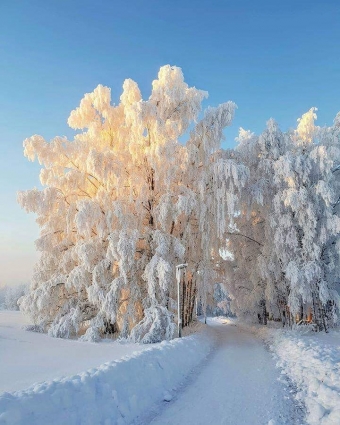 Любимые стихи о зиме!