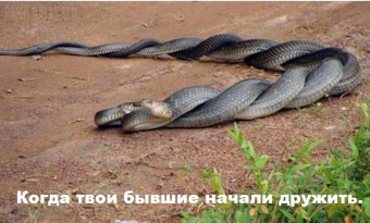 Разные мемы. 1 часть