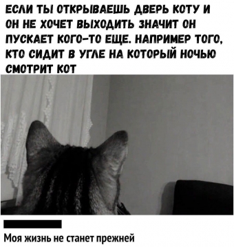 Мемы для настроения 