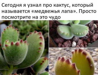 Небольшая подборка мемов для вас