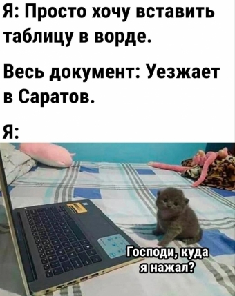 Мэмы. 2 часть