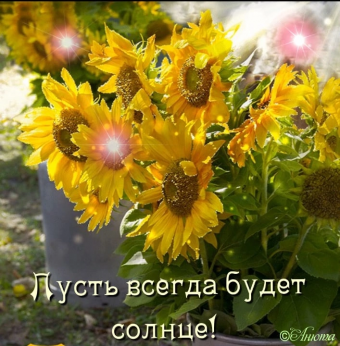 Тысячи открыток и поздравлений. 26 часть.