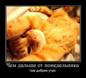Демотиваторы про доброе утро