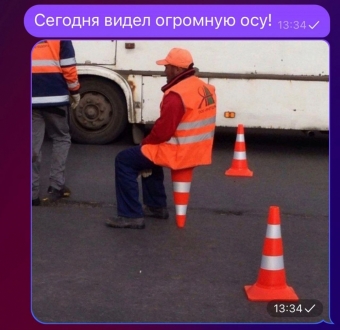Шуточки и мемы для вас. 12 часть