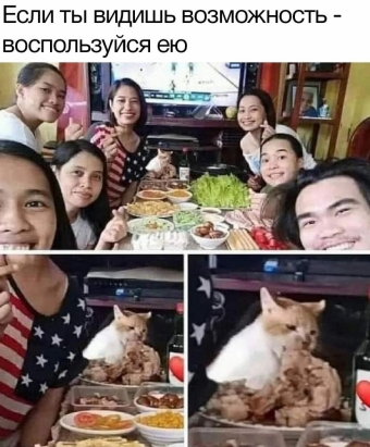 Шуточки и мемы для вас. 4 часть
