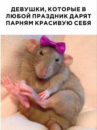 Шуточки и мемы для вас. 8 часть 