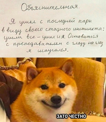 Шуточки и мемы для вас. 9 часть