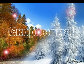 Тысячи открыток и поздравлений. 31 часть.
