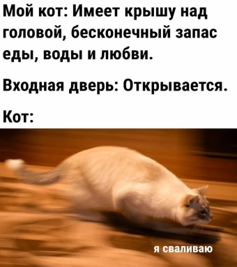 Шуточки и мемы для вас. 7 часть
