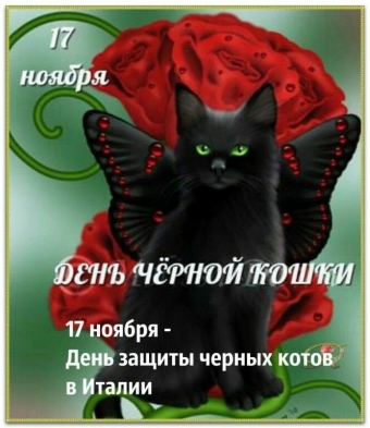 17 ноября. День чёрной кошки.