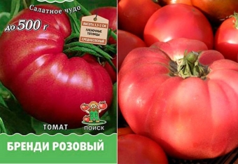 Скоро сезон посадки! ''10 ростов помидоров 🍅