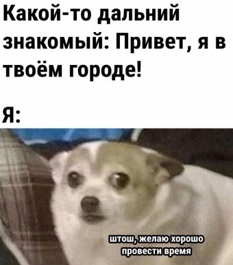 Шуточки и мемы для вас. 6 часть