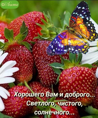 Тысячи открыток и поздравлений. 28 часть.