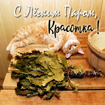 Желаю с легким паром