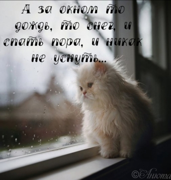 Тысячи открыток и поздравлений. 31 часть.