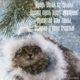 Тысячи открыток и поздравлений. 30 часть.
