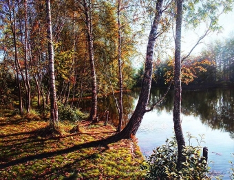 Красоты славянских лесов