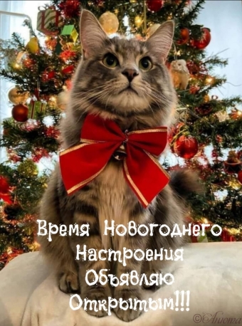 Тысячи открыток и поздравлений. 30 часть.