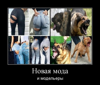 Демотиваторы о прикольной моде