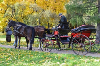 Московская осень