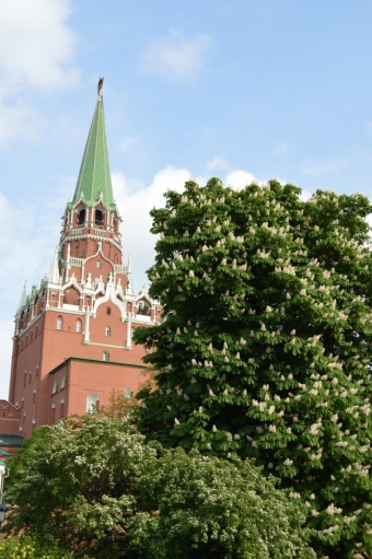 Московская весна