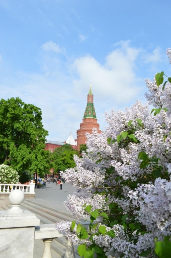 Московская весна