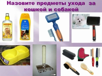 Полезная подборка для ухода за шерстяными друзьями❤️