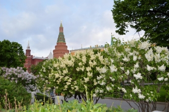 Московская весна