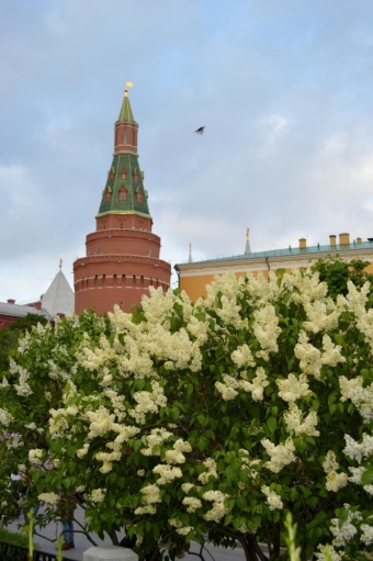 Московская весна