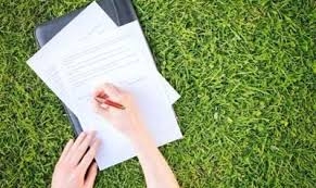 Может ли один лесной участок предоставляться в аренду разным лицам?