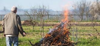 Дачникам грозит новый штраф.